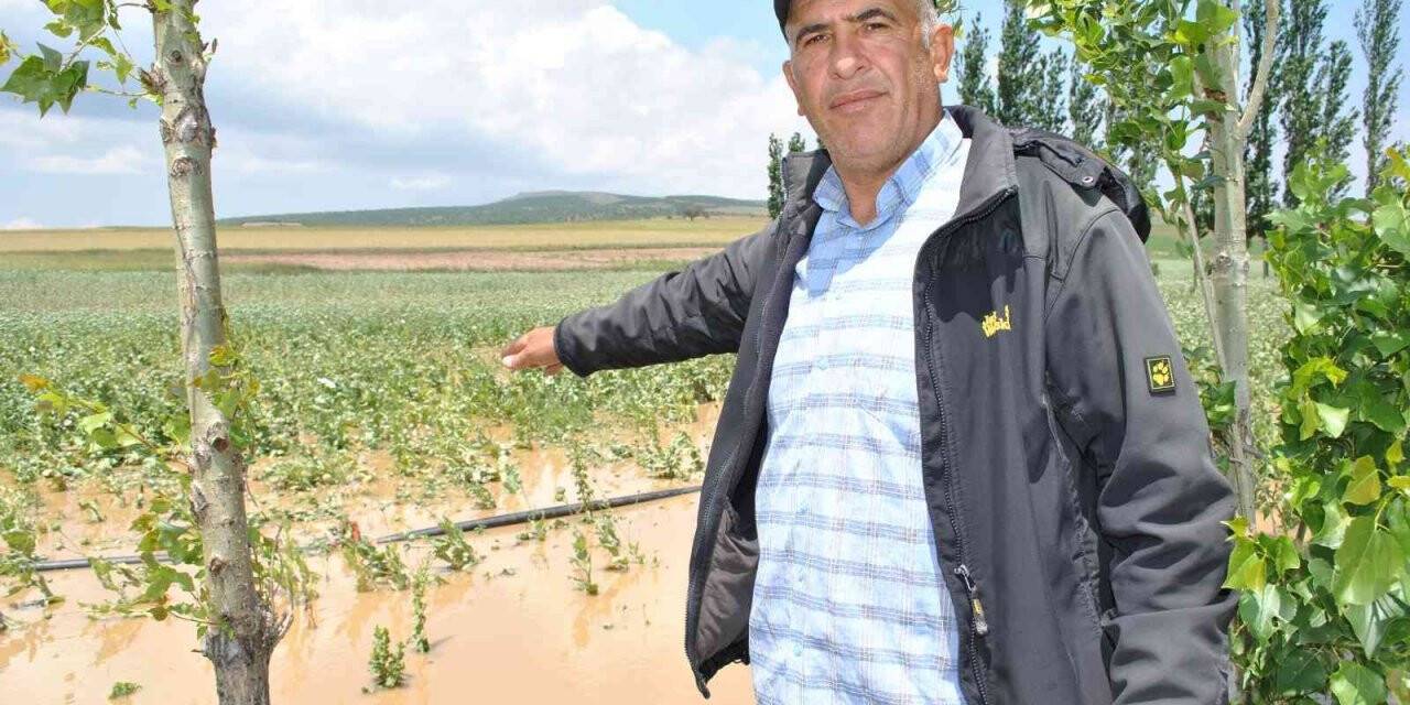 Gece yarısı başlayan yağmur köyde sele neden oldu