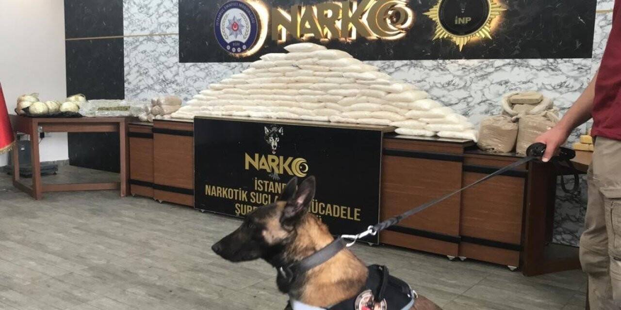 İstanbul’da uyuşturucu operasyonları: 176 kilo uyuşturucu ele geçirildi