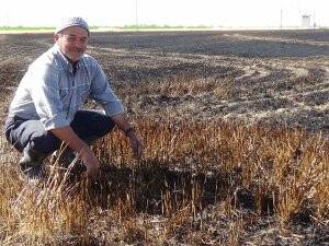 KUŞ, 12 DÖNÜM ARPA TARLASINI KÜL ETTİ
