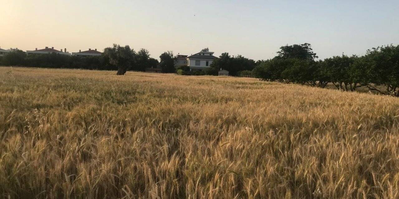 Para için değil örnek olmak için ekti