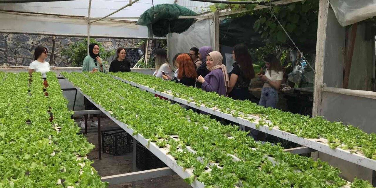 Aşçılık öğrencileri topraksız tarımı inceledi