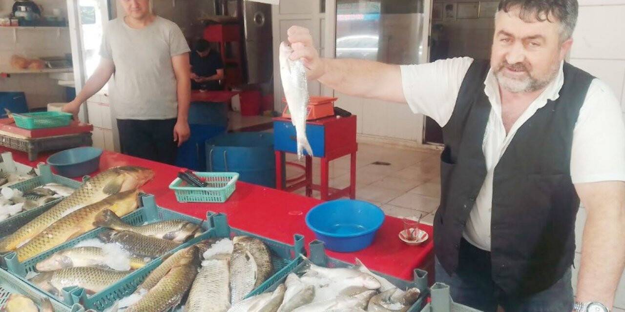 Yaz sezonu balıkları tezgahlarda yerini aldı
