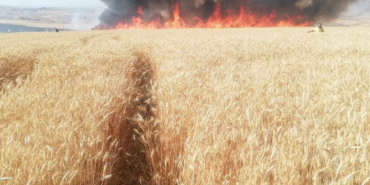 Batman’da 200 dönüm buğday tarlası küle döndü