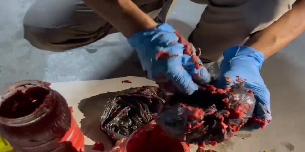 Salça bidonu içinde uyuşturucu sevkiyatı ‘Nina’dan kaçmadı: 2 gözaltı