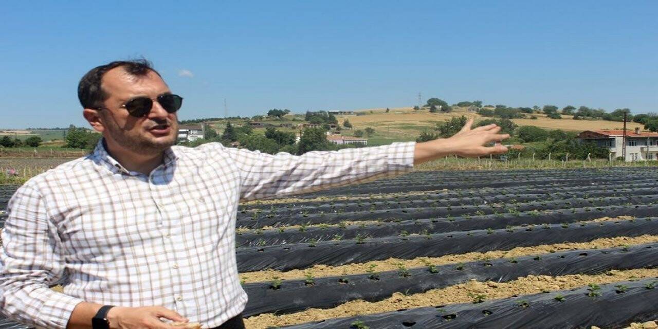 Kent ekonomisine büyük katkı: Tohumdan ağaca kadar her şeyi belediye üretiyor