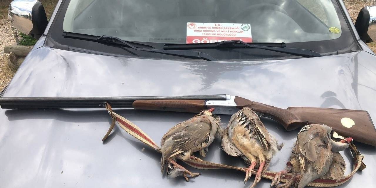 Tunceli’de kaçak avcıya ceza