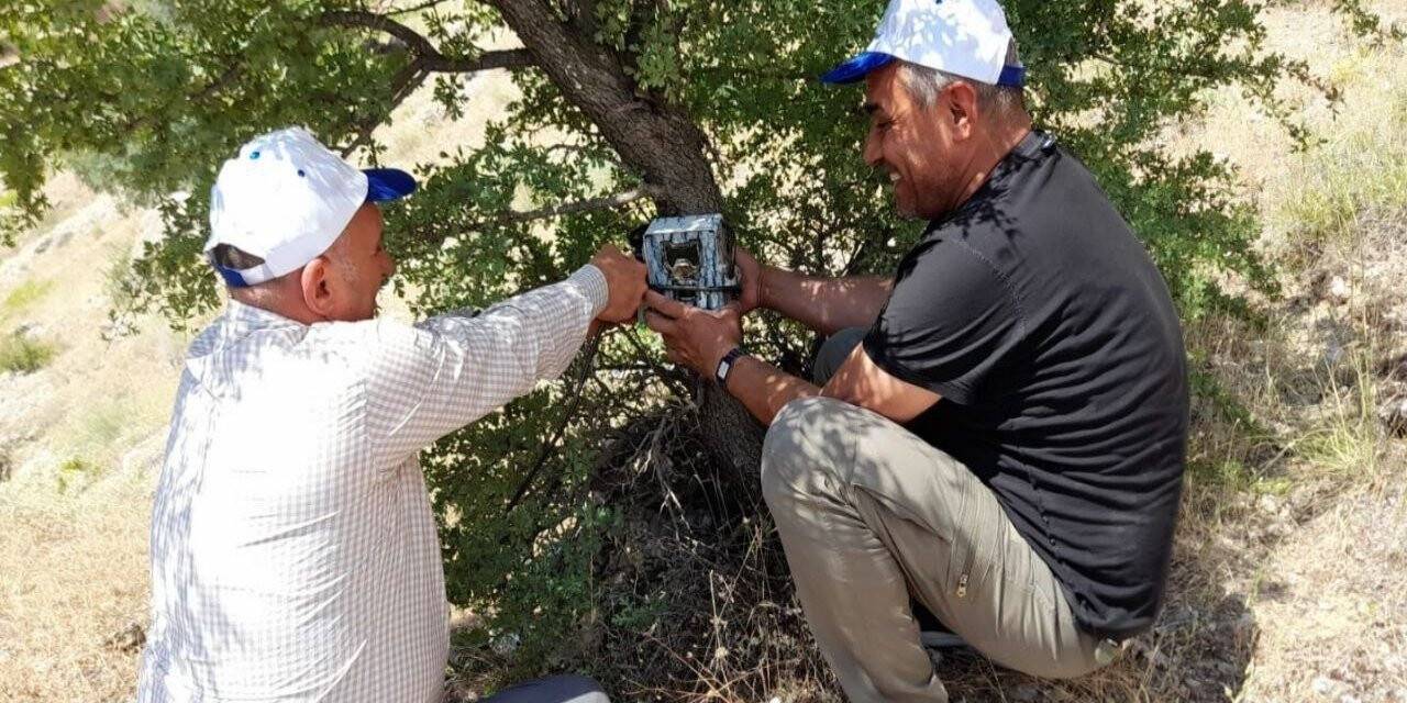 Elazığ’da fotokapanların bakımı yapıldı