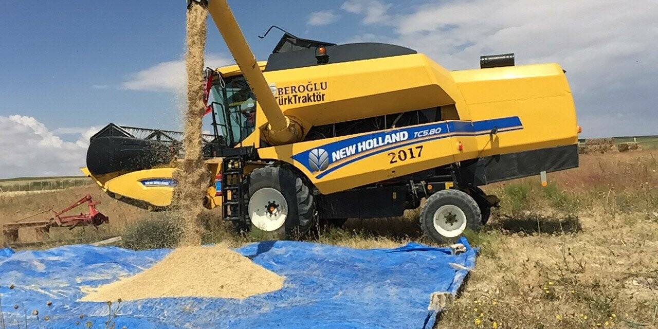 Kulu’da 2022 yılının ilk arpa hasadı başladı