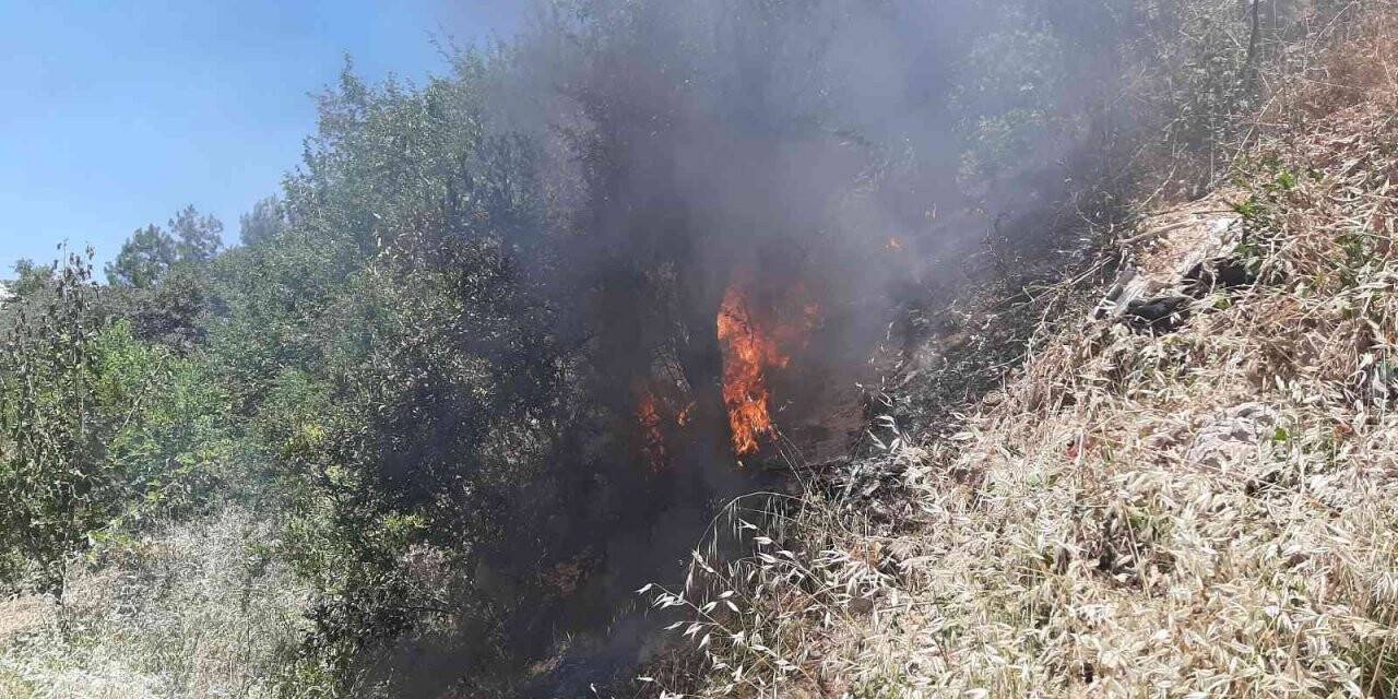 Yılan korkusundan bahçeyi yaktı