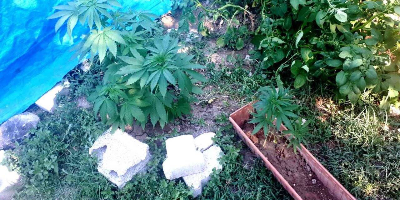 Besni’de uyuşturucu operasyonu: 4 gözaltı