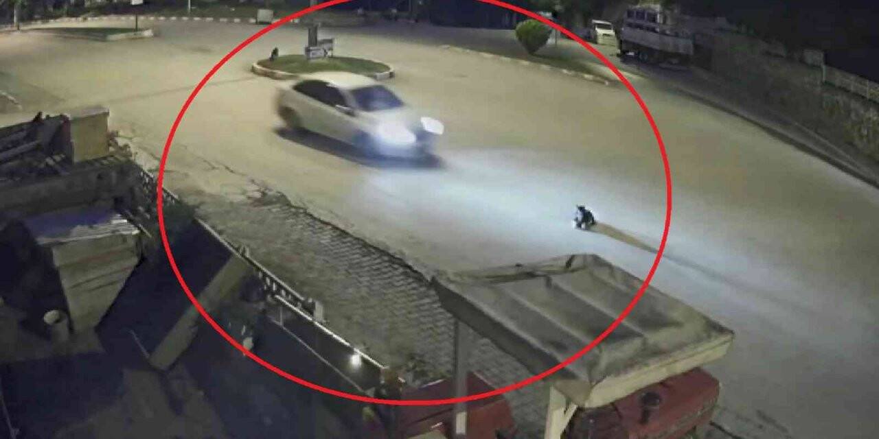 Yolun ortasında yatan köpeği ezdi, hiçbir şey olmamış gibi yoluna devam etti