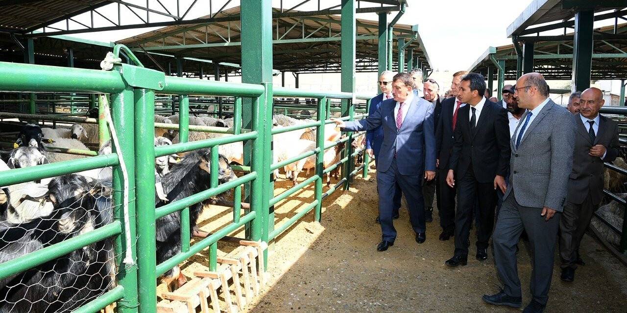 Malatya Hayvan Pazarı yenileniyor