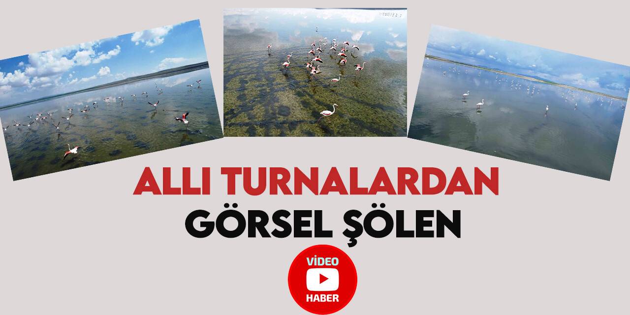 Düden Gölü’ndeki flamingolardan görsel şölen