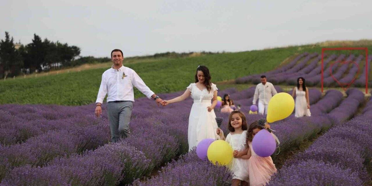 Büyükçekmece’de lavanta şenliği