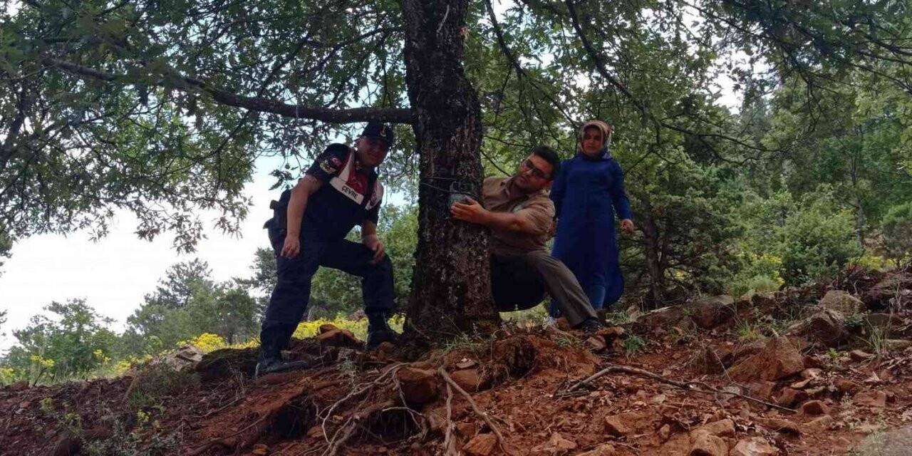 Aladağlar Milli Parkına fotokapan desteği