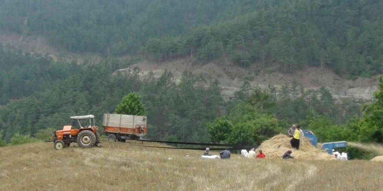 Orakla biçiyor, patozla harman çekiyorlar