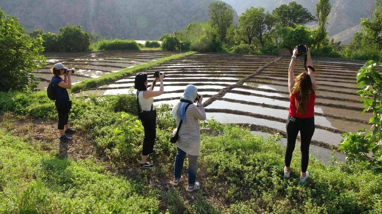 Çukurca’daki çeltik tarlalarına fotoğrafçılardan yoğun ilgi