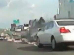 Tavuklar Otobana Saçıldı