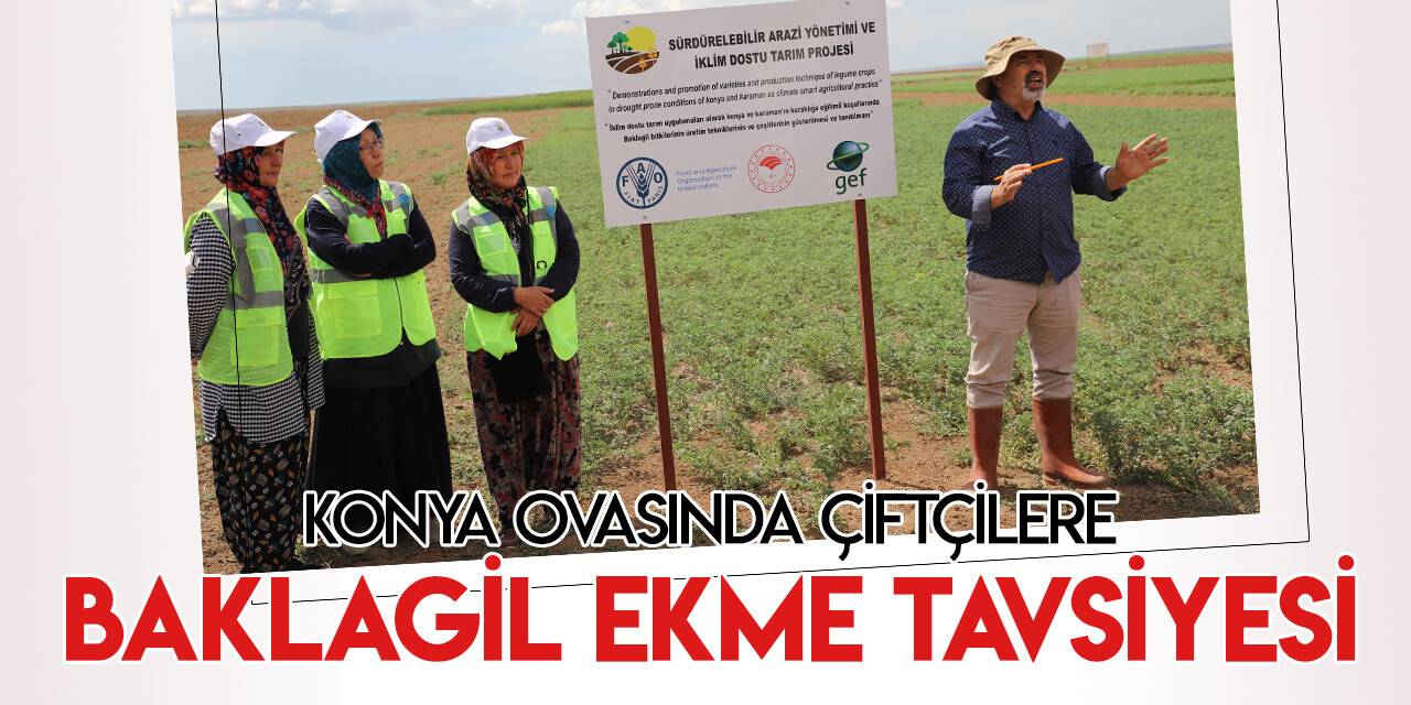 Konya Ovası'nda çiftçilere baklagil ekmek çağrısı