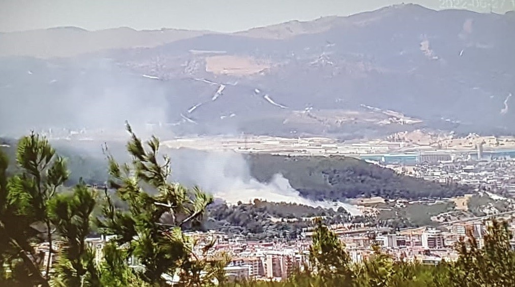 İzmir’de ağaçlık alanda çıkan yangın kontrol altında