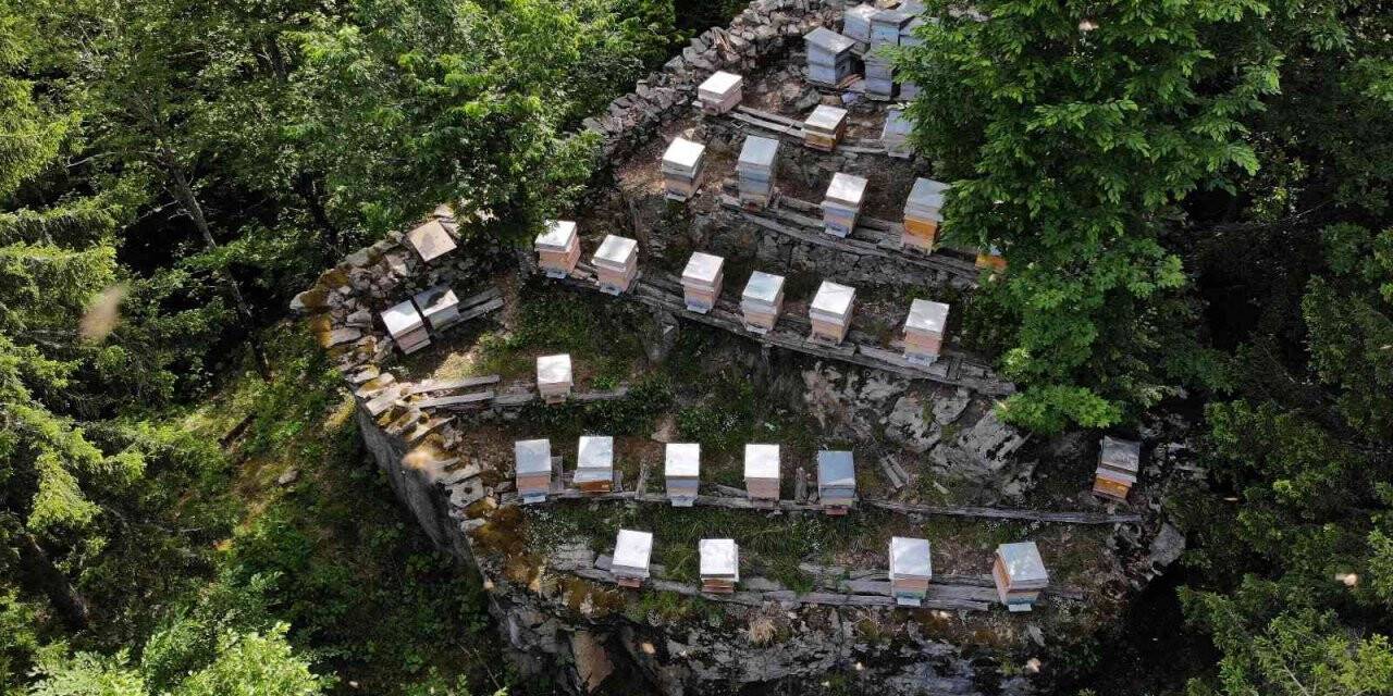 Asırlardır kayalar üzerinde bal üretiyorlar