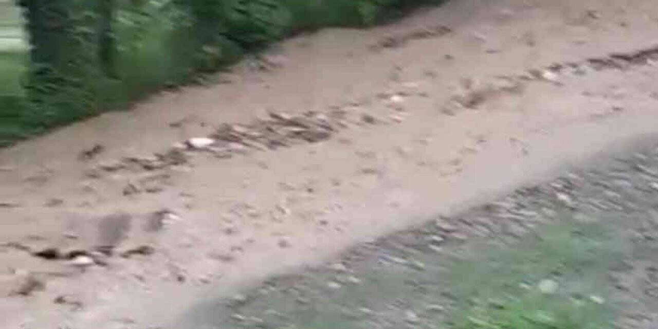 Zonguldak’ta kuvvetli yağışta yolları ve işyerini su bastı