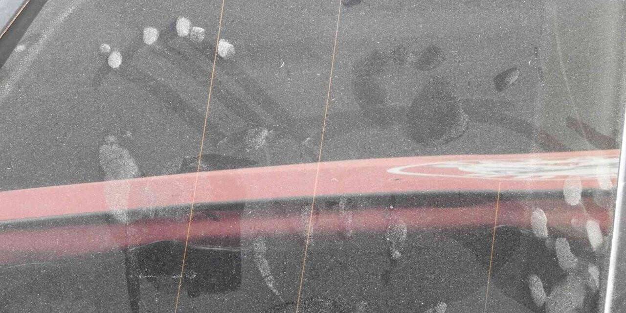 Spil Dağı Milli Parkı’nda ilk kez ayı görüldü