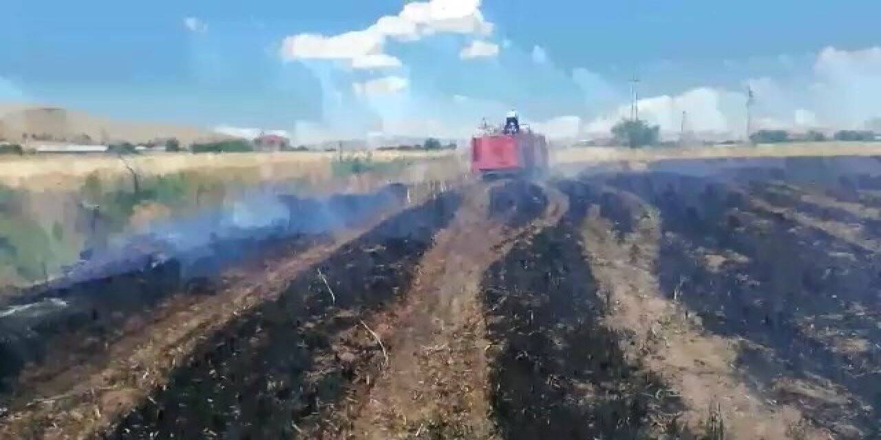Elazığ’da 12 dönüm ekili alan kül oldu