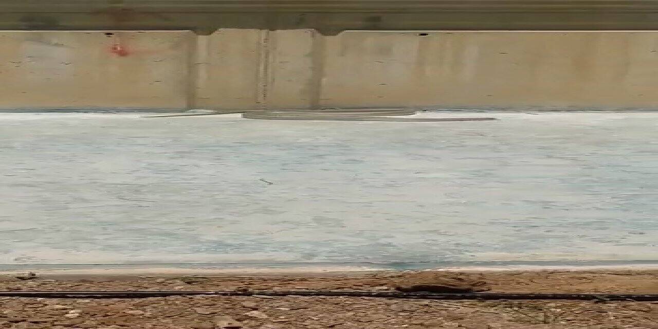 Sıcaklarla birlikte kaldırımlarda ortaya çıkan yılanlar tedirgin etti