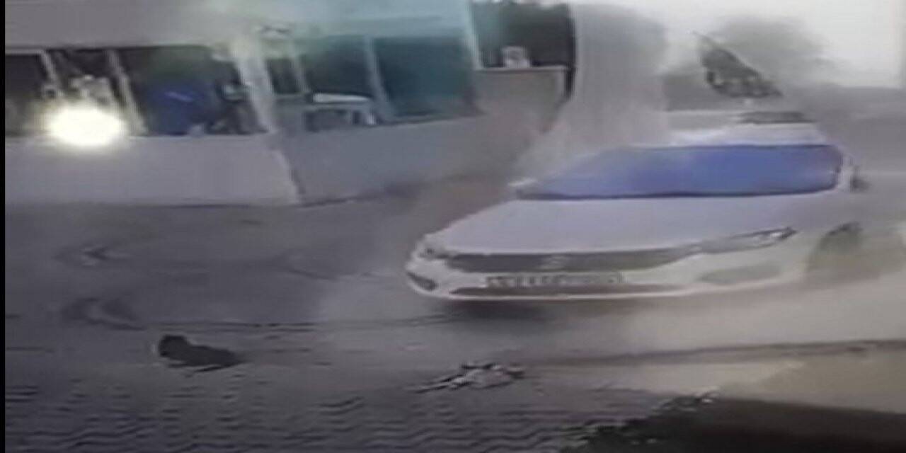 Otomobilini kedilerin üzerine sürüp, birini telef etti