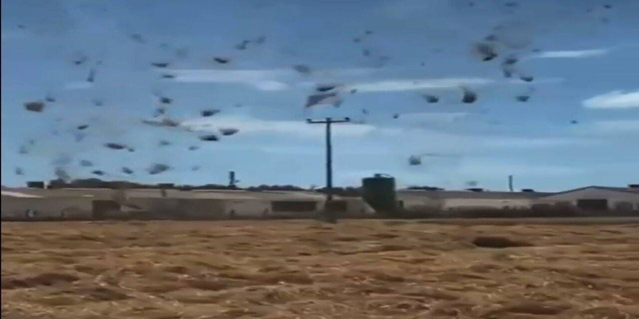 Bandırma’da hortum paniği