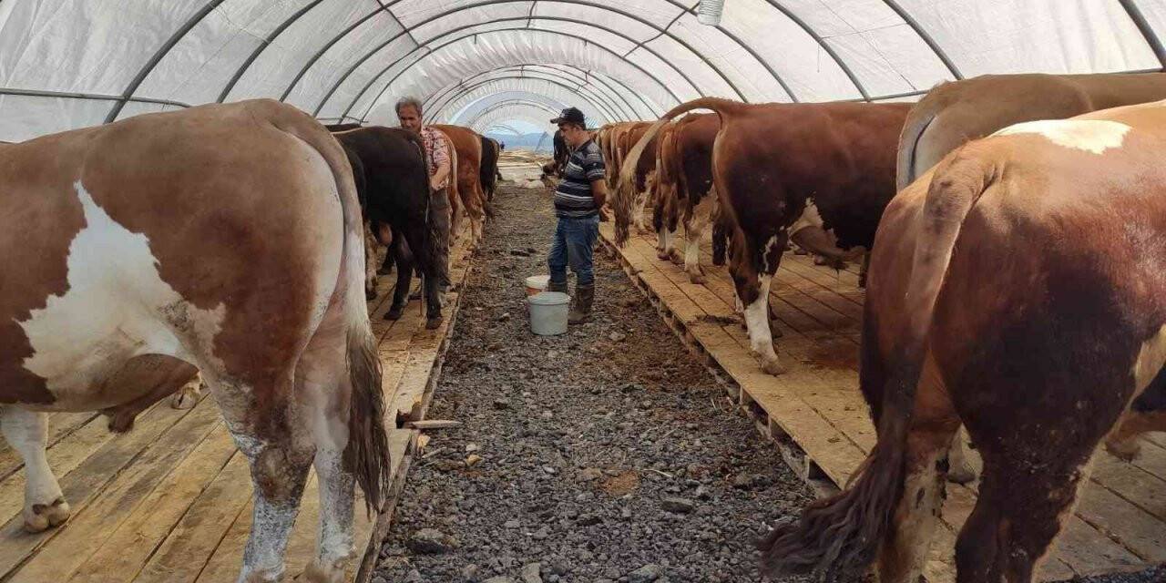 Sultangazi’de kurban pazarı kuruldu