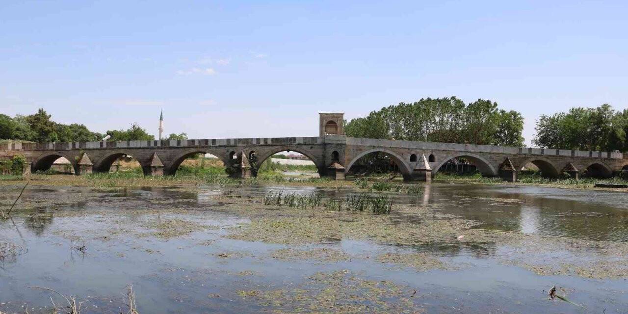 Tunca Nehrindeki debi düşüklüğü su bitkilerinin artışına neden oldu
