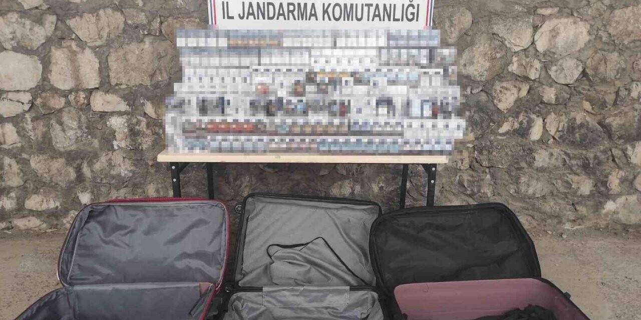 Şırnak’ta kaçakçılık ve asayiş operasyonu: 47 gözaltı