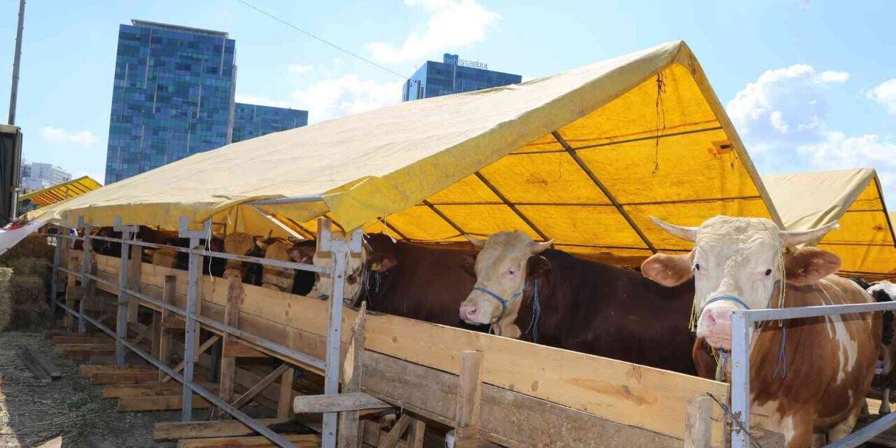Bahçelievler’de kurban kesim alanları hazır