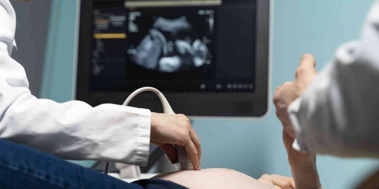 Gebelik yaşının ilerlemesi kadınları yumurta dondurma işlemine yöneltiyor