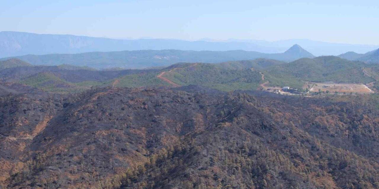 Yangından sonra Bördübet havadan görüntülendi