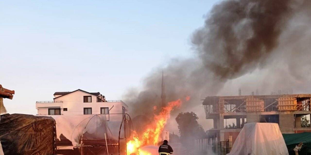 Altınova sera yangını kısa sürede söndürüldü