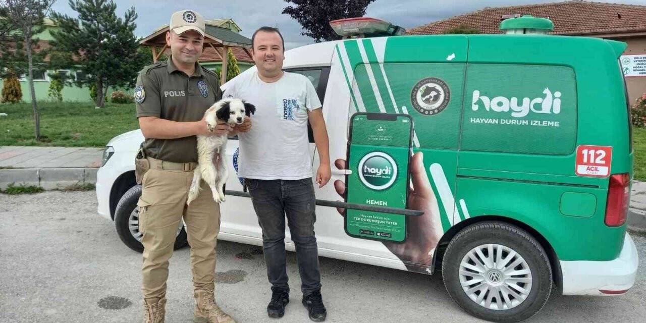 Kaybolan köpeği HAYDİ ekipleri buldu