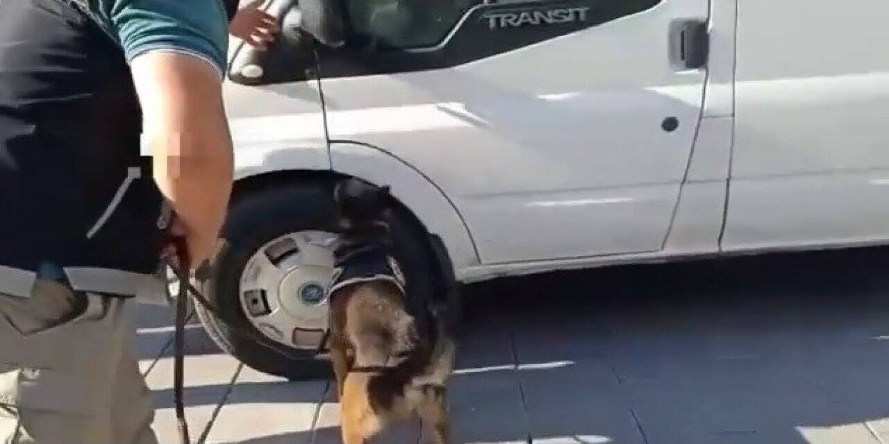 Bakan Soylu özellikle tebrik etmişti: İzmir’de 280 binin üzerinde hap ele geçirildi