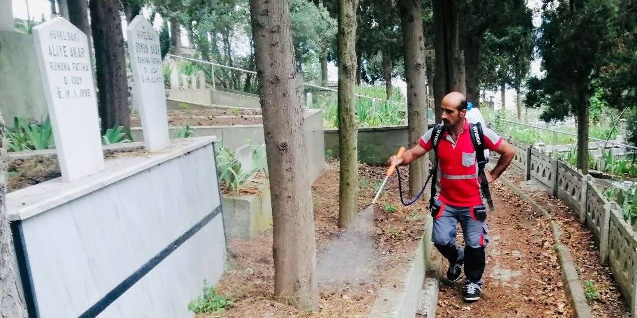 Mezarlıklarda bayram temizliği