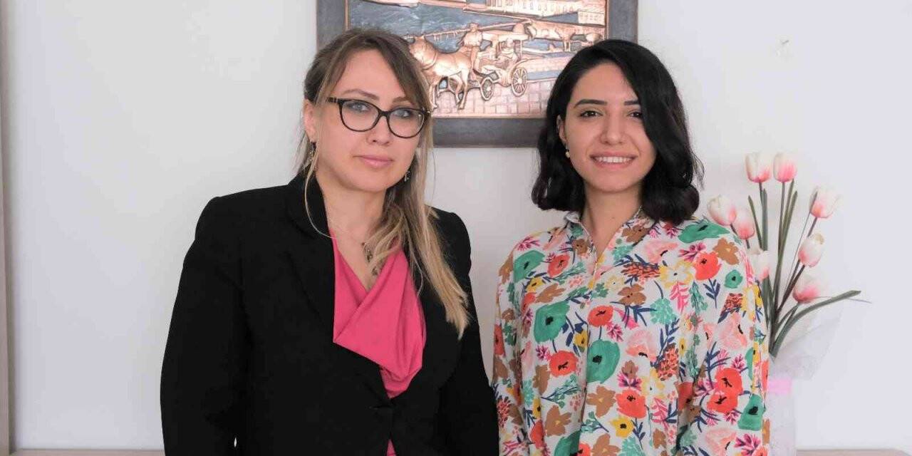 Ebeler çevrim içi sağlık hizmeti sunacak