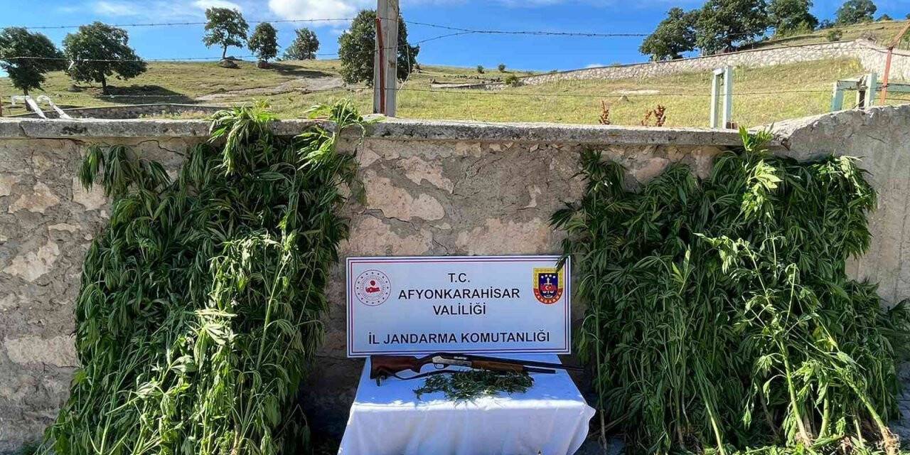 Köy evlerine uyuşturucu baskını