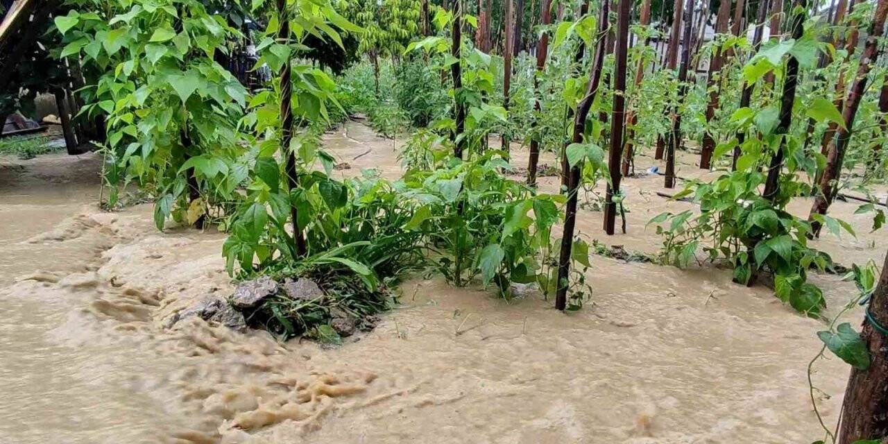 Karabük’te yollar ve tarım arazileri sular altında kaldı