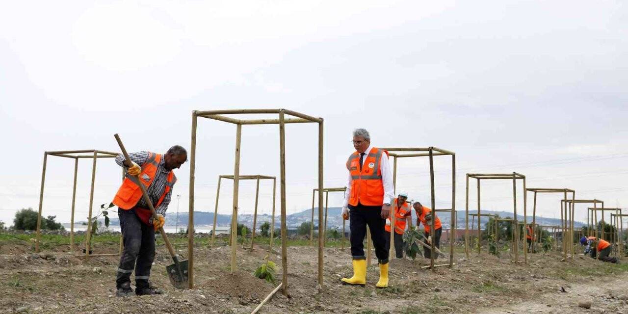 Sakarya’da ilk kez avokado fidanı toprakla buluştu