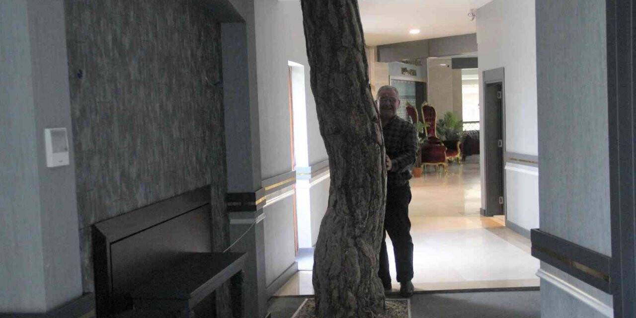 Kütahya’nın en çevreci termal oteli