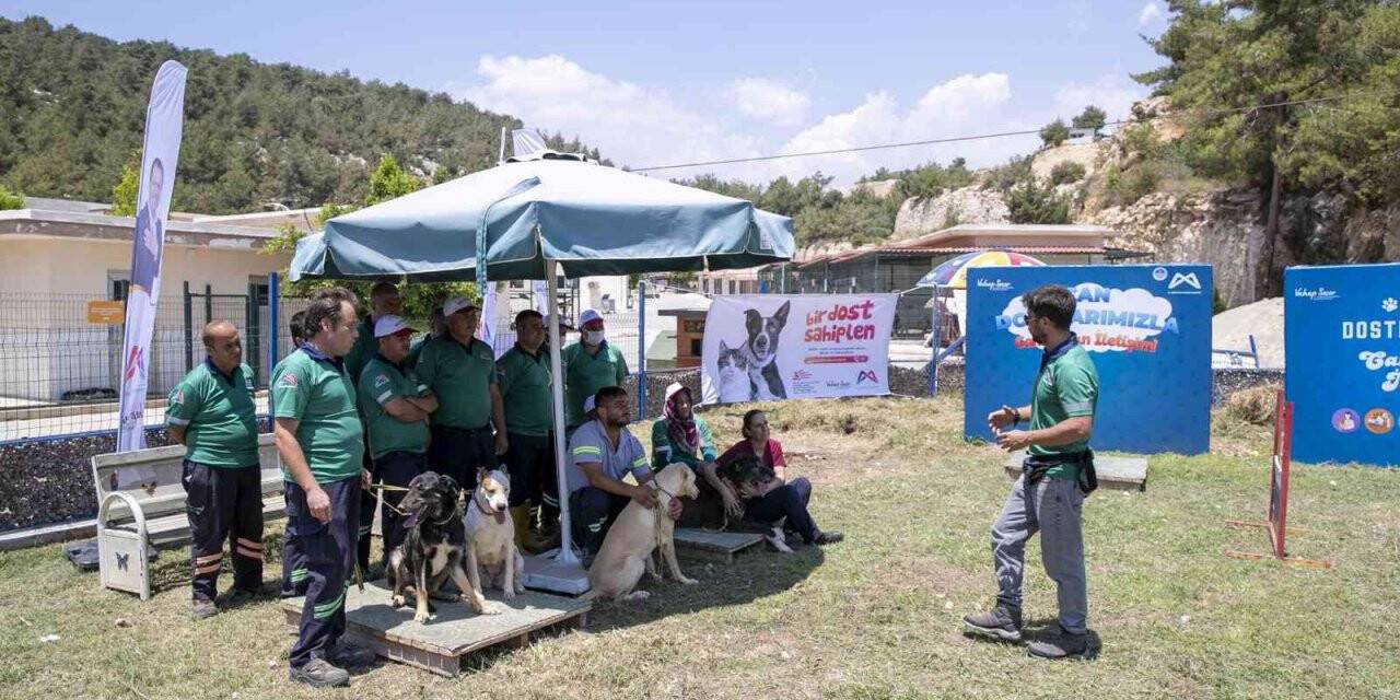 Mersin’de köpek eğitim alanı kuruldu
