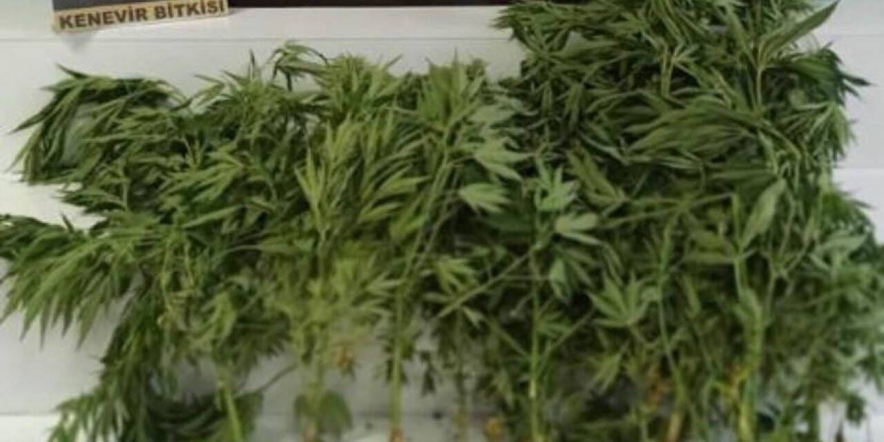 Hatay’da uyuşturucu operasyonu