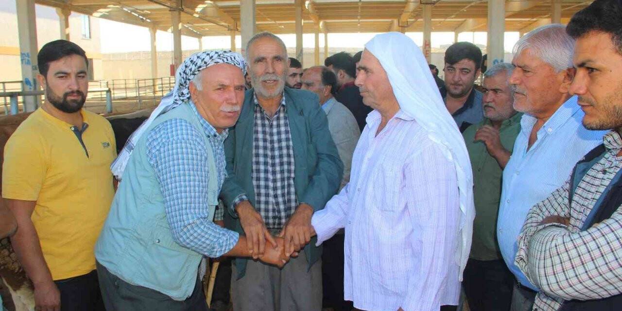 Şanlıurfa hayvan pazarlarında hareketlilik başladı