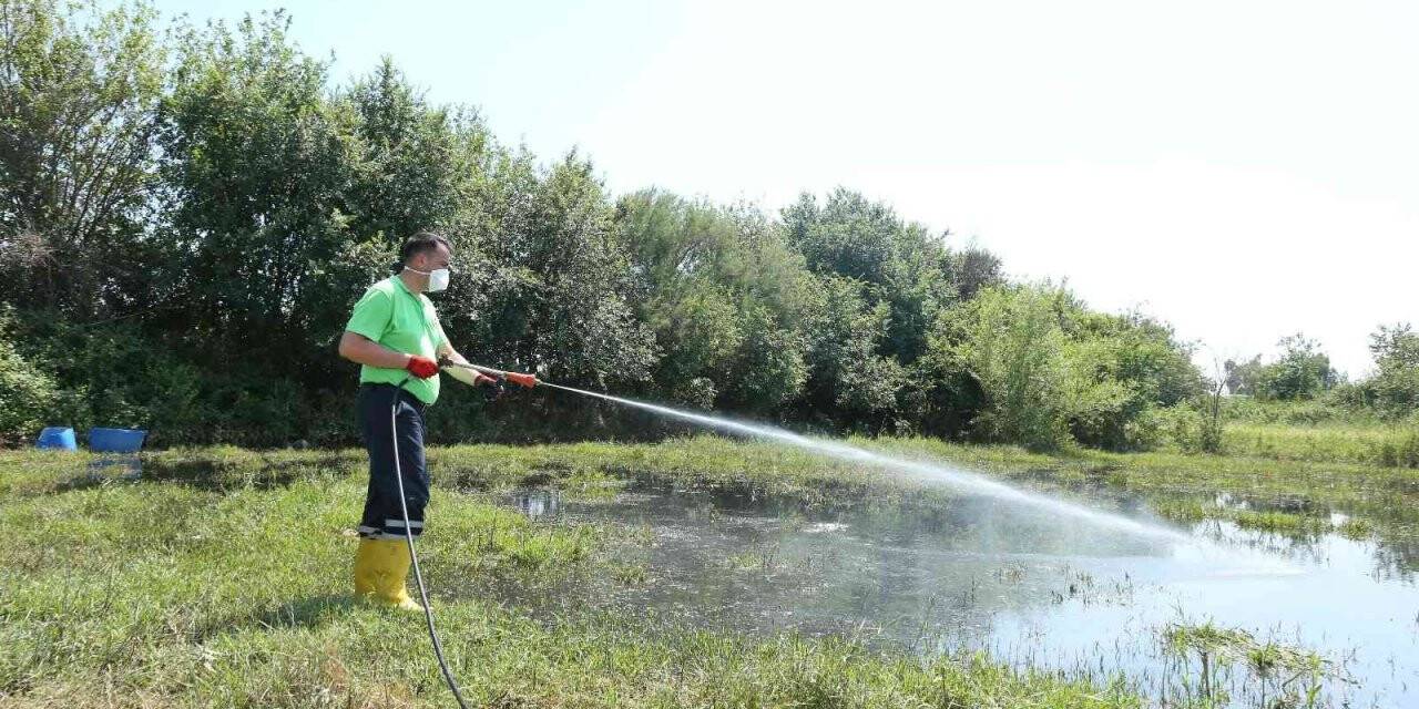 Efeler Belediyesi ilaçlama çalışmalarına hız verdi
